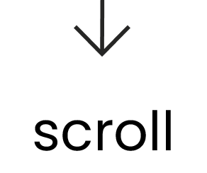 scroll down to next section